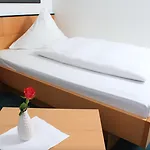 リュッテンシャイダー シュテルン ホテル 3*